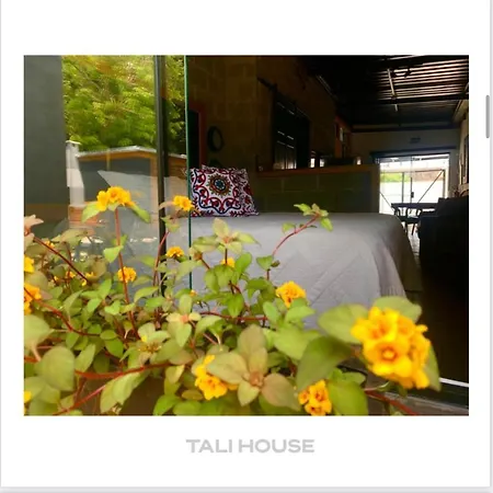 Tali House - Casa Hotel Sao Francisco do Sul Exterior photo