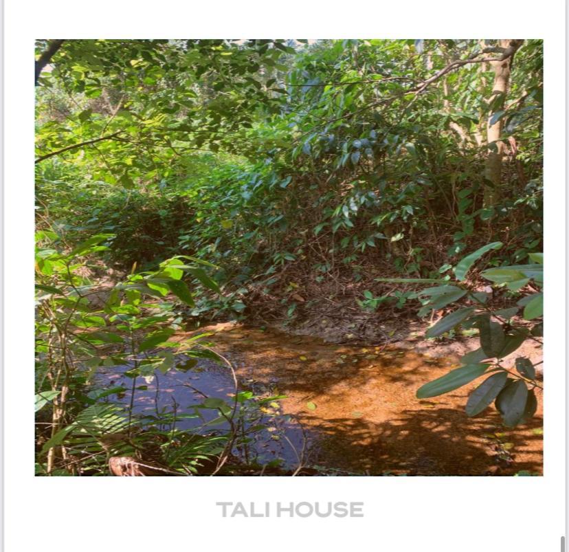 Hotel Tali House - Casa